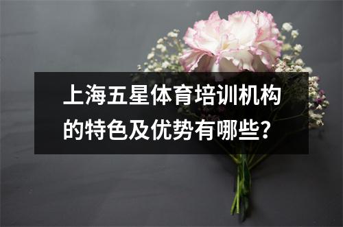 上海五星体育培训机构的特色及优势有哪些?