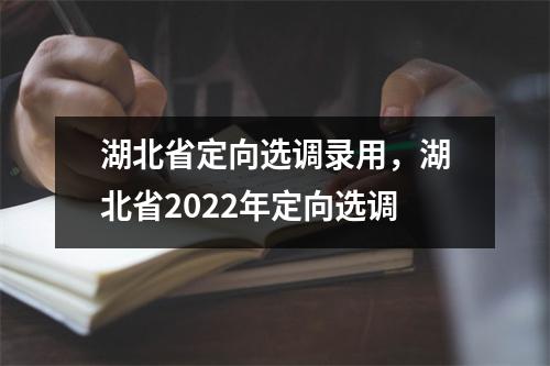 湖北省定向选调录用,湖北省2022年定向选调