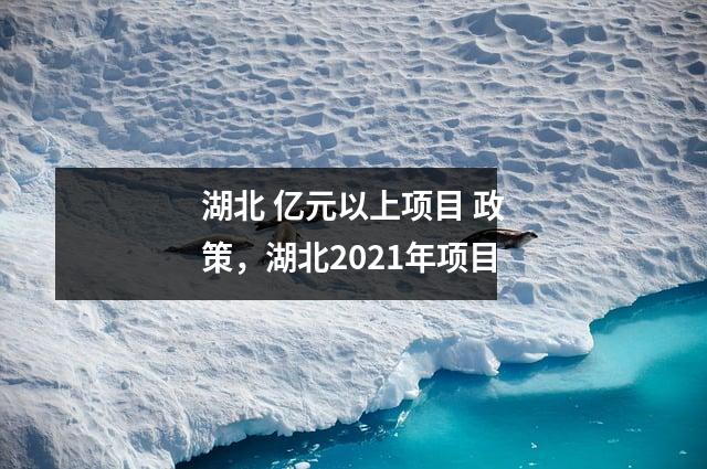 湖北 亿元以上项目 政策,湖北2021年项目