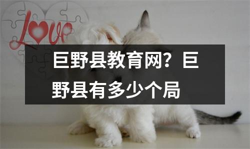 巨野县教育网?巨野县有多少个局