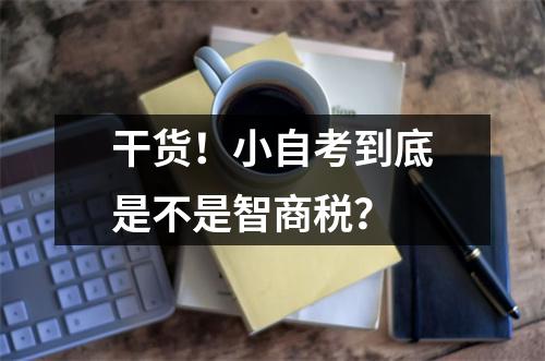 干货！小自考到底是不是智商税？
