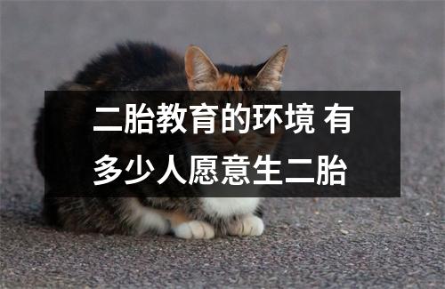 二胎教育的环境 有多少人愿意生二胎