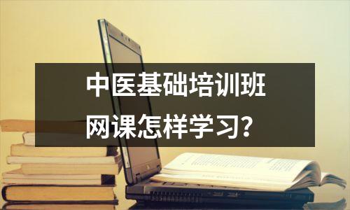中医基础培训班网课怎样学习?