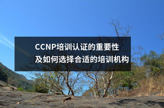 CCNP培训认证的重要性及如何选择合适的培训机构