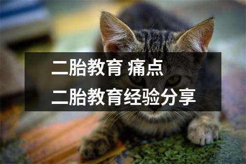 二胎教育 痛点 二胎教育经验分享