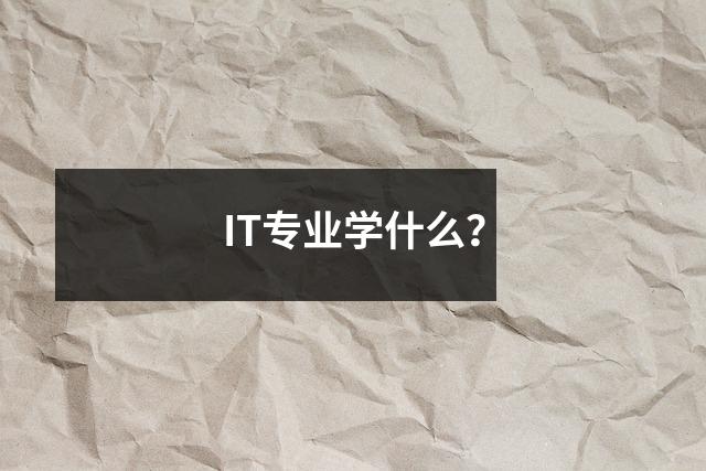 IT专业学什么?