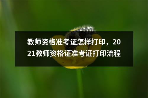 教师资格准考证怎样打印,2021教师资格证准考证打印流程