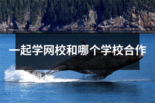 一起学网校和哪个学校合作