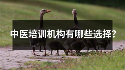 中医培训机构有哪些选择?