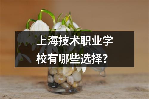 上海技术职业学校有哪些选择?