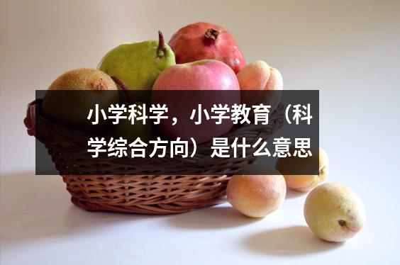 小学科学，小学教育（科学综合方向）是什么意思