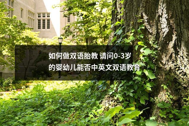 如何做双语胎教 请问0-3岁的婴幼儿能否中英文双语教育
