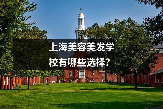上海美容美发学校有哪些选择?