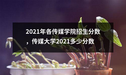 2021年各传媒学院招生分数，传媒大学2021多少分数