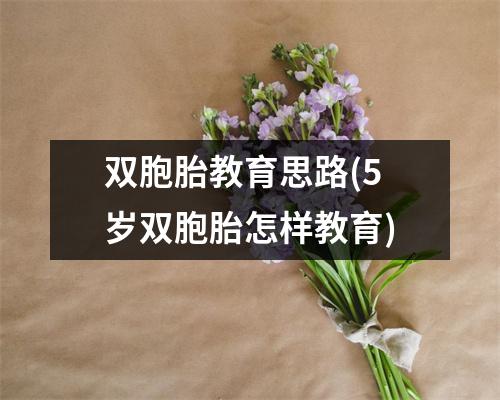 双胞胎教育思路(5岁双胞胎怎样教育)