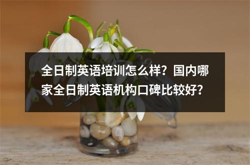 全日制英语培训怎么样?国内哪家全日制英语机构口碑比较好?