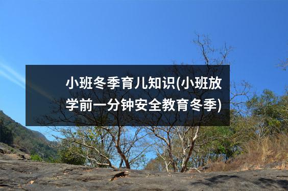 小班冬季育儿知识(小班放学前一分钟安全教育冬季)