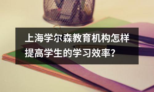 上海学尔森教育机构怎样提高学生的学习效率?