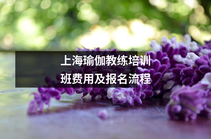 上海瑜伽教练培训班费用及报名流程