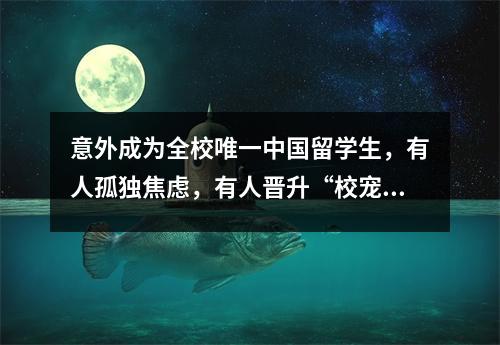 意外成为全校唯一中国留学生,有人孤独焦虑,有人晋升“校宠”?