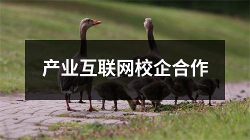 产业互联网校企合作