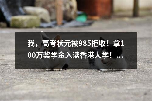 我,高考状元被985拒收!拿100万奖学金入读香港大学!现在
