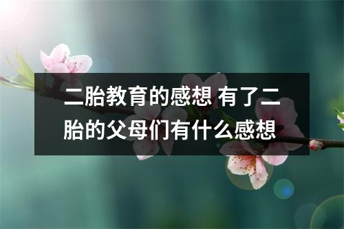 二胎教育的感想 有了二胎的父母们有什么感想