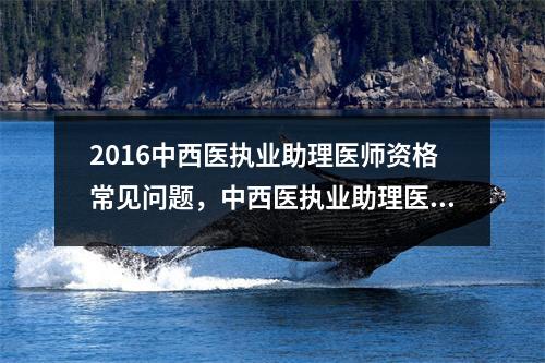 2016中西医执业助理医师资格常见问题，中西医执业助理医师考试题库