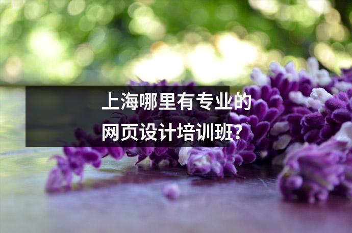 上海哪里有专业的网页设计培训班?