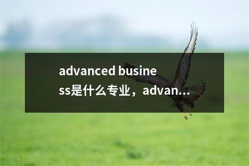 advanced business是什么专业,advanced diploma是什么学位