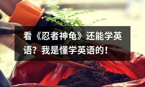 看《忍者神龟》还能学英语？我是懂学英语的！