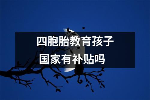 四胞胎教育孩子 国家有补贴吗