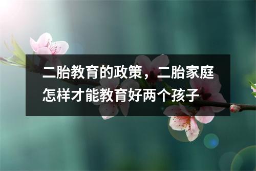 二胎教育的政策,二胎家庭怎样才能教育好两个孩子