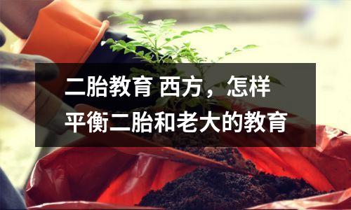 二胎教育 西方,怎样平衡二胎和老大的教育