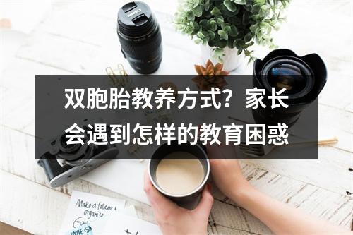 双胞胎教养方式?家长会遇到怎样的教育困惑