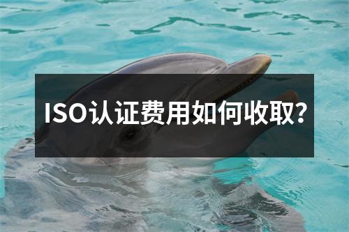 ISO认证费用如何收取?