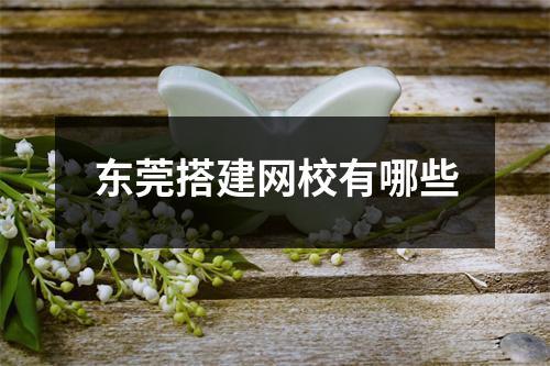 东莞搭建网校有哪些