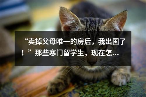 “卖掉父母唯一的房后,我出国了!”那些寒门留学生,现在怎么样了?