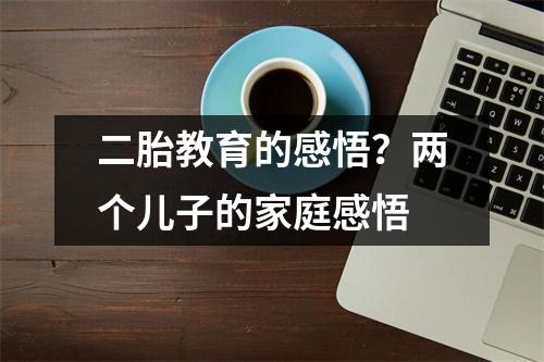 二胎教育的感悟?两个儿子的家庭感悟