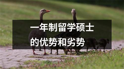 一年制留学硕士的优势和劣势