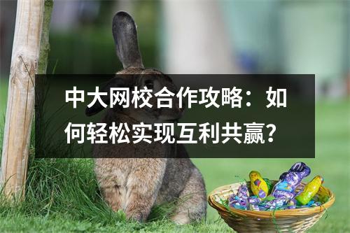 中大网校合作攻略：如何轻松实现互利共赢？
