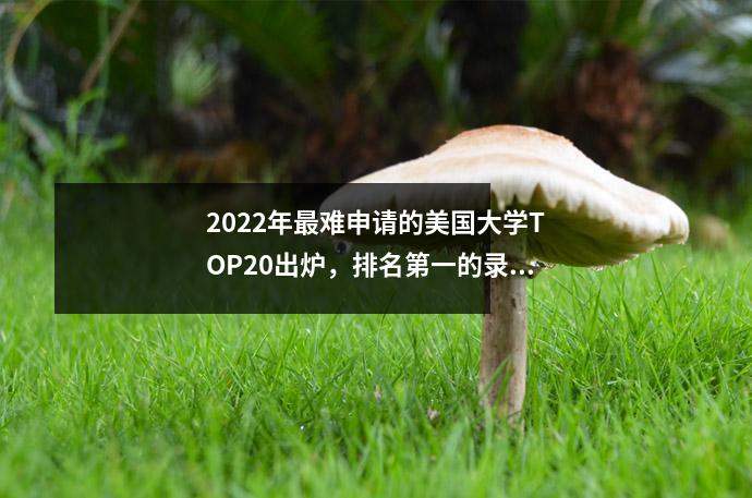 2022年最难申请的美国大学TOP20出炉,排名第一的录取率只有