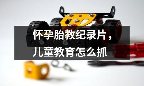 怀孕胎教纪录片，儿童教育怎么抓