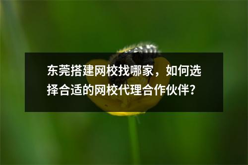 东莞搭建网校找哪家,如何选择合适的网校代理合作伙伴?