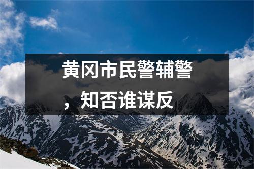 黄冈市民警辅警,知否谁谋反