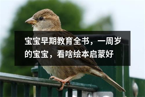 宝宝早期教育全书,一周岁的宝宝,看啥绘本启蒙好