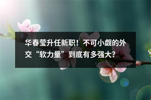 华春莹升任新职!不可小觑的外交“软力量”到底有多强大?