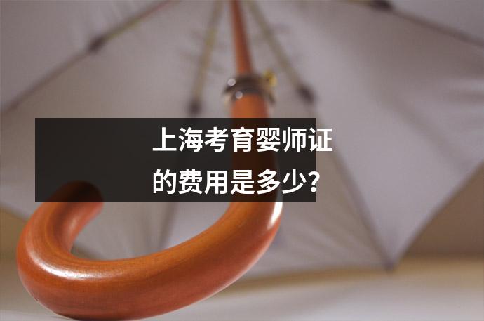 上海考育婴师证的费用是多少?