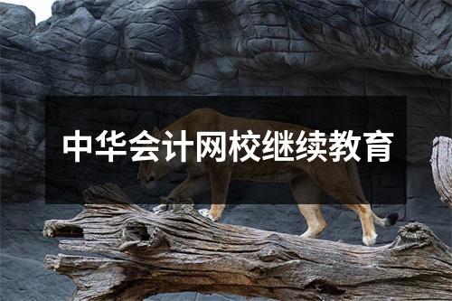 中华会计网校继续教育
