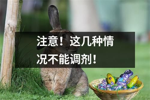注意!这几种情况不能调剂!